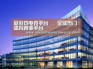 案例展示五